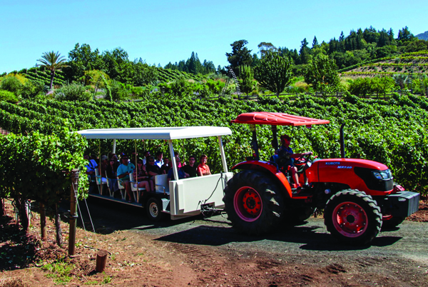 Benziger Winery Tram Tour