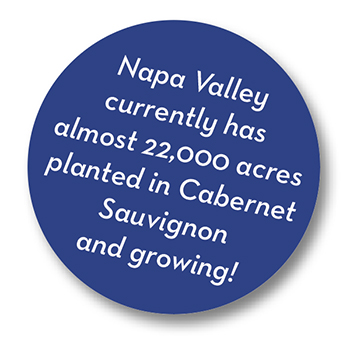 22,000 acres of  Cabernet in Napa Valley