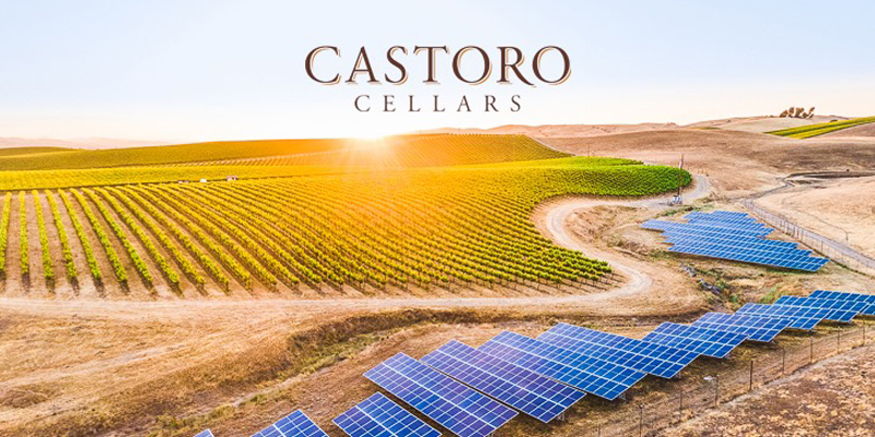 Castoro Cellars Solar Panels and Vineyard