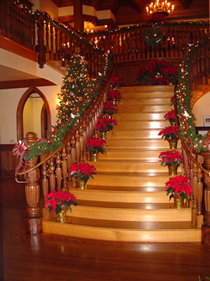 Ledson Holiday Staircase